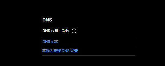 DNS 设置:部分