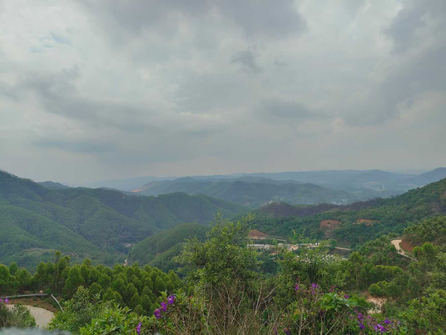 image-20260102175305907